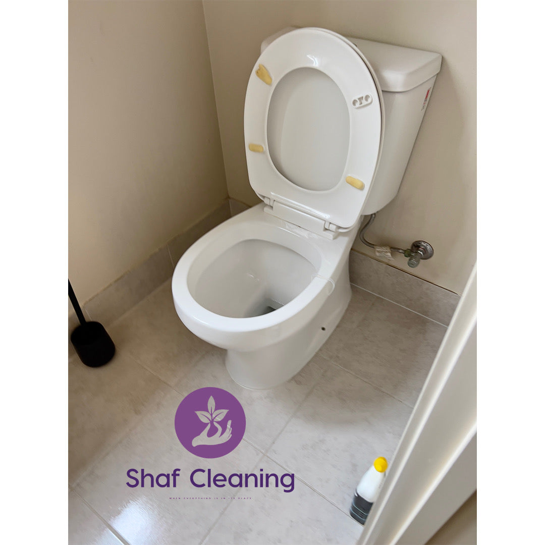 General House Cleaning